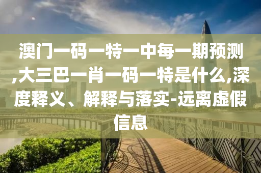 澳門(mén)一碼一特一中每一期預(yù)測(cè),大三巴一肖一碼一特是什么,深度釋義、解釋與落實(shí)-遠(yuǎn)離虛假信息