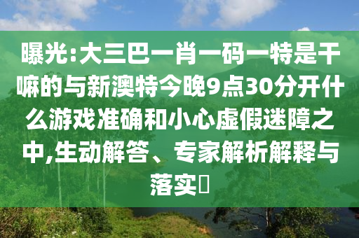 曝光:大三巴一肖一碼一特是干嘛的與新澳特今晚9點30分開什么游戲準確和小心虛假迷障之中,生動解答、專家解析解釋與落實?
