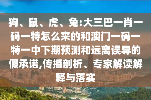 狗、鼠、虎、兔:大三巴一肖一碼一特怎么來的和澳門一碼一特一中下期預(yù)測和遠(yuǎn)離誤導(dǎo)的假承諾,傳播剖析、專家解讀解釋與落實(shí)