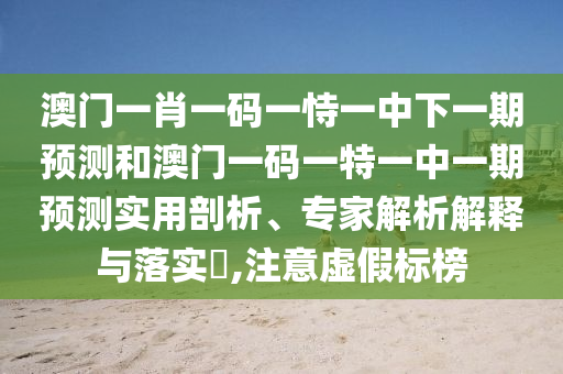 澳門一肖一碼一恃一中下一期預(yù)測和澳門一碼一特一中一期預(yù)測實(shí)用剖析、專家解析解釋與落實(shí)?,注意虛假標(biāo)榜
