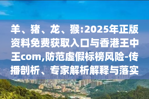 羊、豬、龍、猴:2025年正版資料免費(fèi)獲取入口與香港王中王com,防范虛假標(biāo)榜風(fēng)險(xiǎn)-傳播剖析、專家解析解釋與落實(shí)